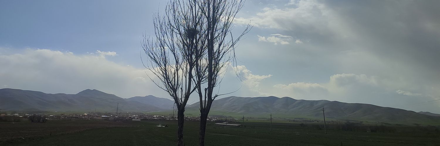 لیلا سلیمانی's banner