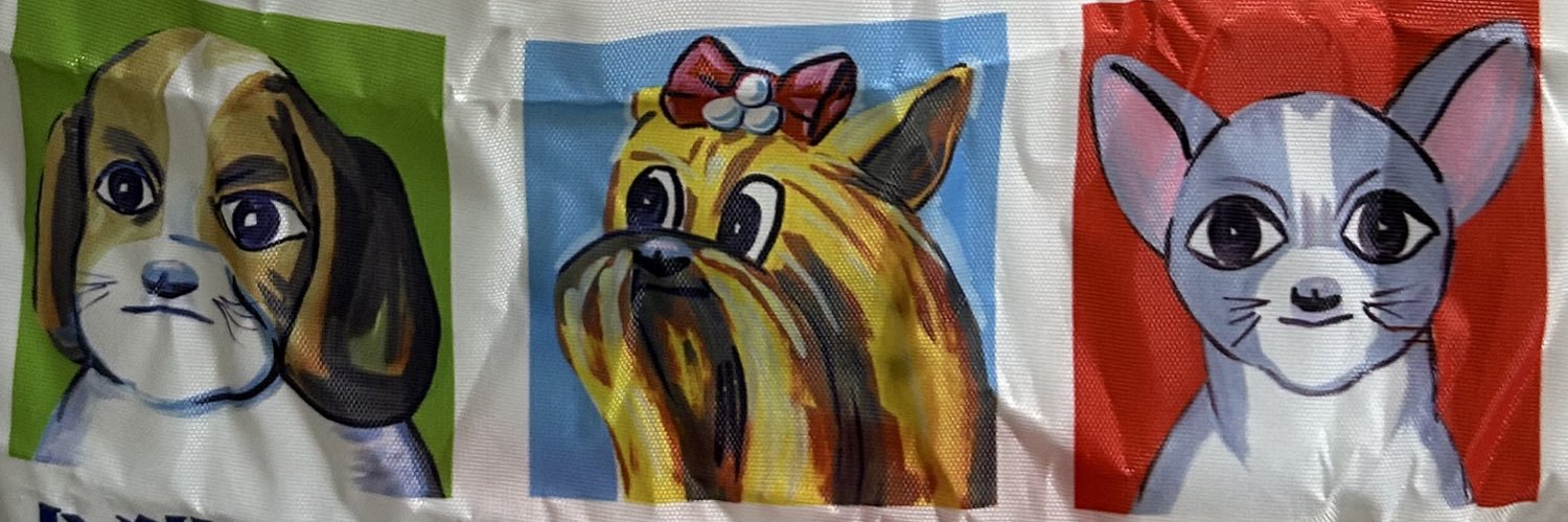 てん🐕‍🦺SODLAND banner