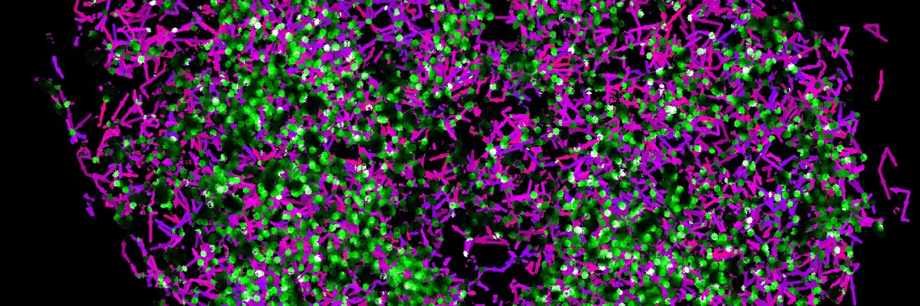 Brian English🔬's banner