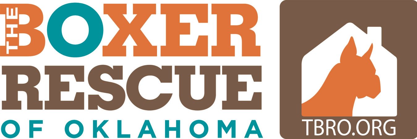 TheBoxerResqOK's profile banner image