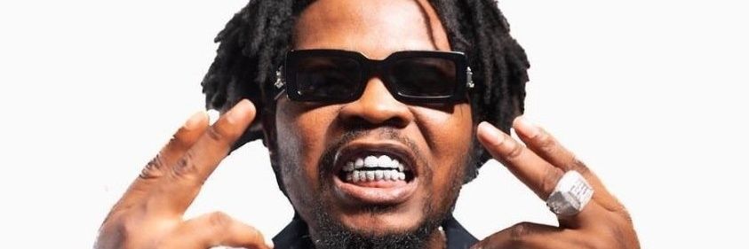 •⁠ᴥ⁠• banner