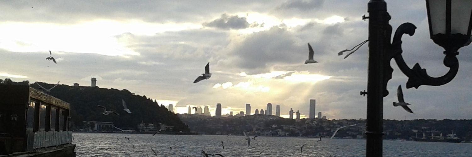 CevdetDr's profile banner image