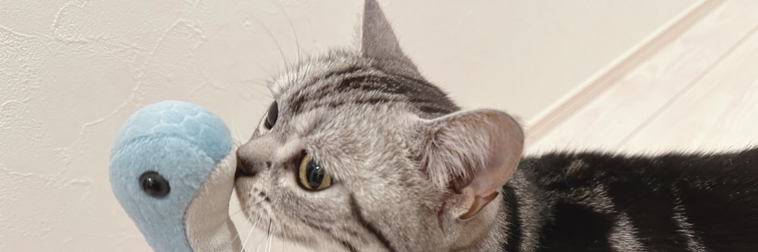 Totaroooosan's profile banner image