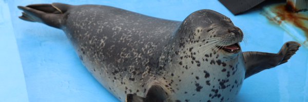 ____581 Profile Banner