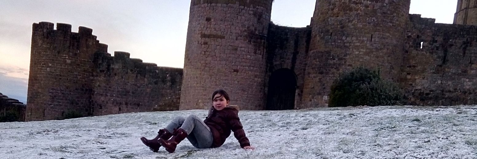 Castillo de Loarre💚 banner