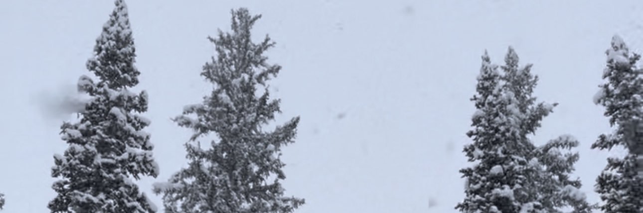 JustinLindsayy's profile banner image
