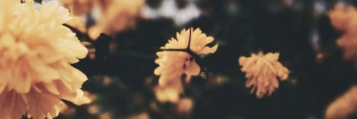 deasyftm's profile banner image