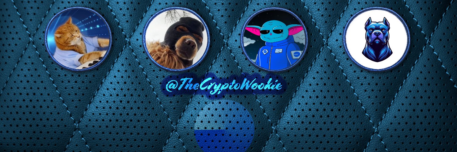 CRYPTOWOOKIE's banner