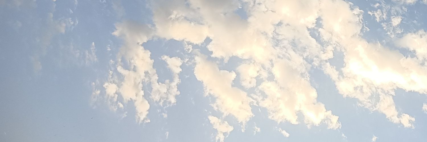 astraeamee's profile banner image