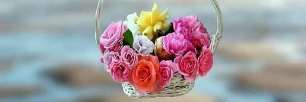 Zahid_Ahme Profile Banner