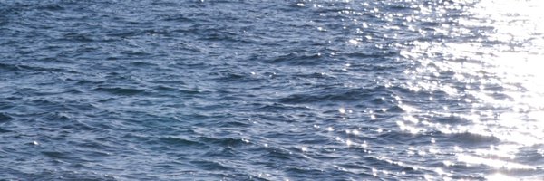 suisou_c Profile Banner