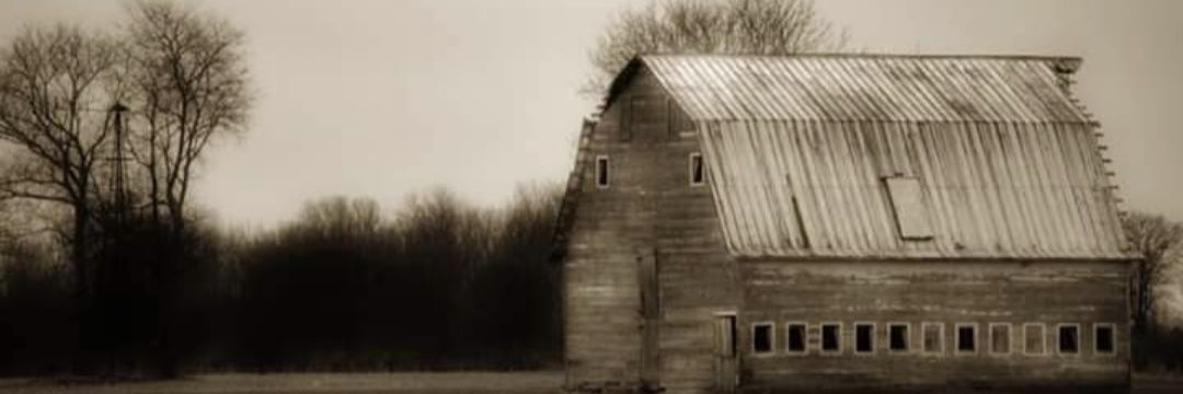 Terry Honaker banner