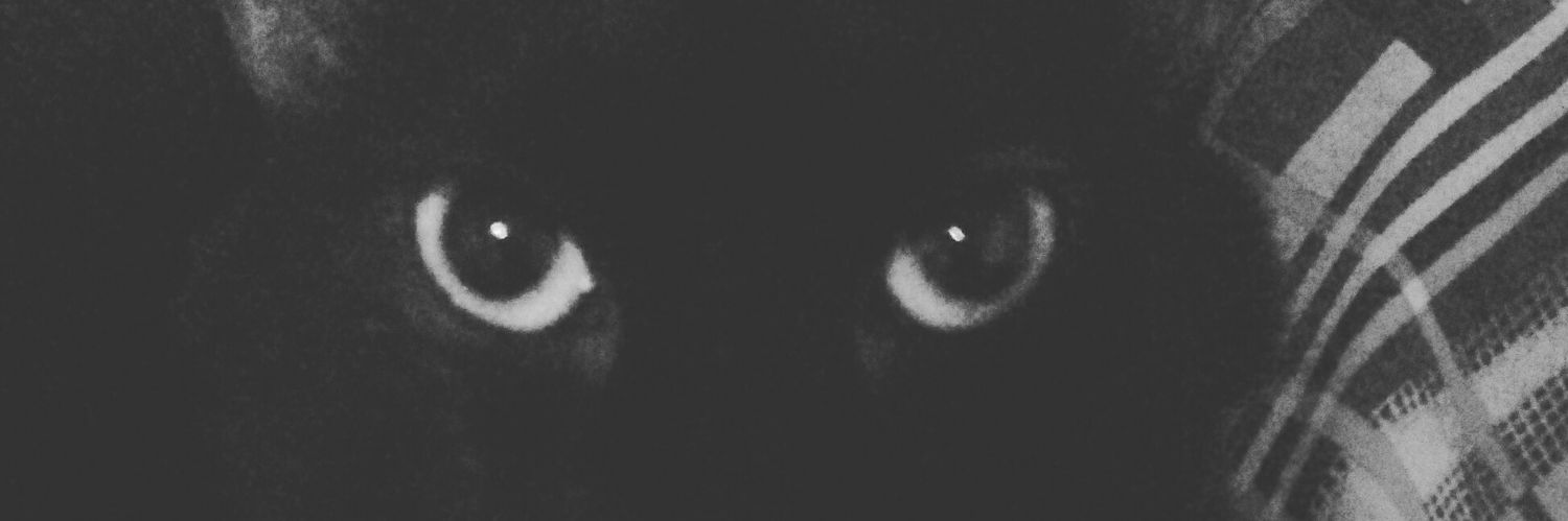 nayanemp's profile banner image