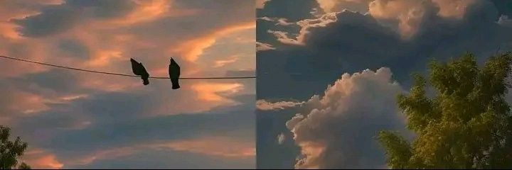 Chaal_Bey's profile banner image