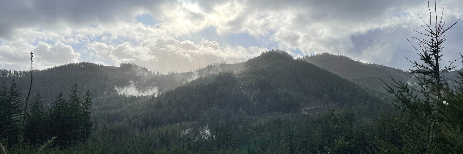 schneidalwave banner