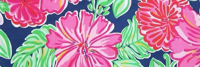 Caitlin Hedric banner