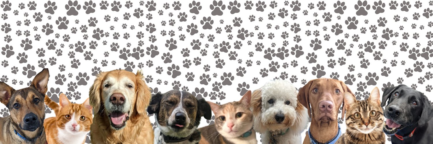 PamperedPetInn's profile banner image