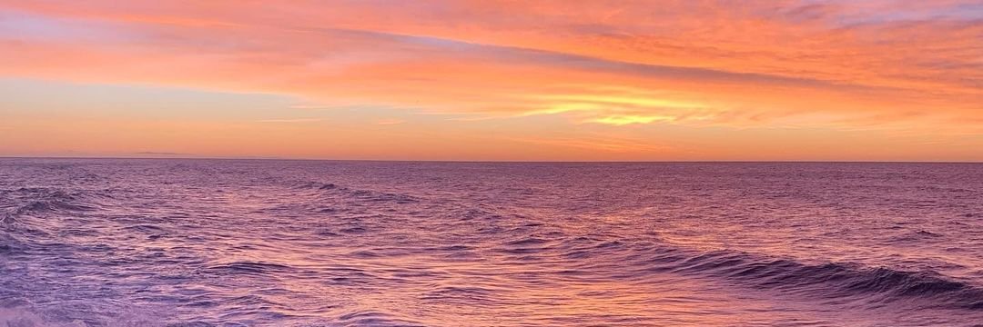 nadalsol's profile banner image
