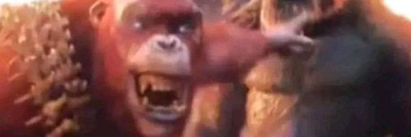 Turororoo_ Profile Banner