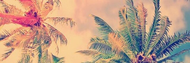 danmel27's profile banner image