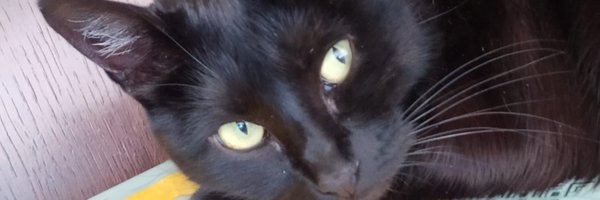 AlbaEpoi Profile Banner