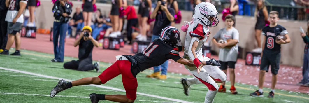 DanielAdelson11 banner