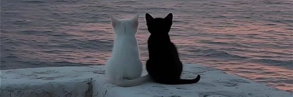 ​୨୧𝓉 𝓇 𝓎 𝓈 𝓉 𝒶 𝓃 . 𝓍 𝒾 ୨୧ banner