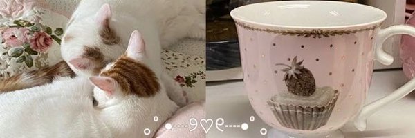 writeryuvin Profile Banner