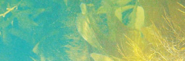 LiminalSounds Profile Banner