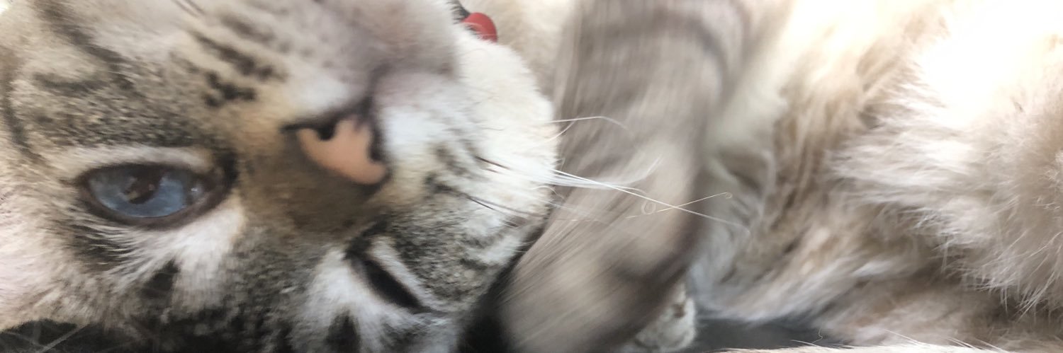 び〜ちゃω banner