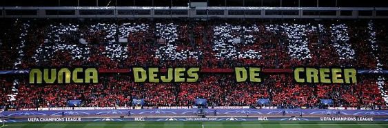 zola 🇨🇮 banner