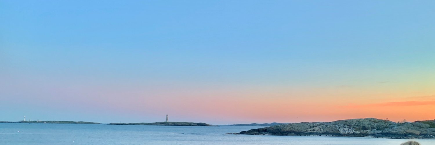 ElisabethAsser's profile banner image