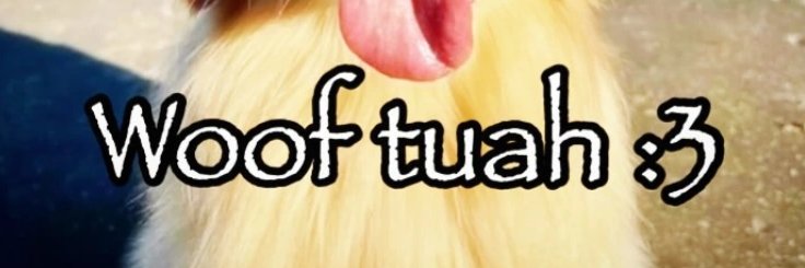 pizzaomad's profile banner image