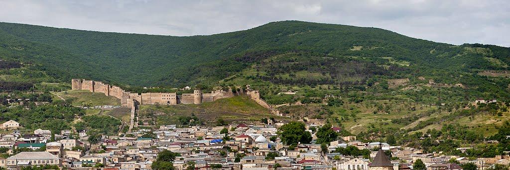 Пытливый banner