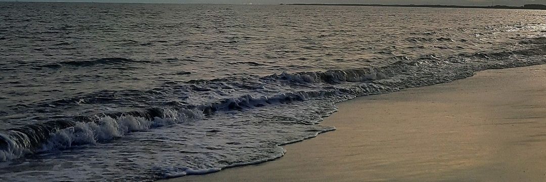 nulyvi's profile banner image