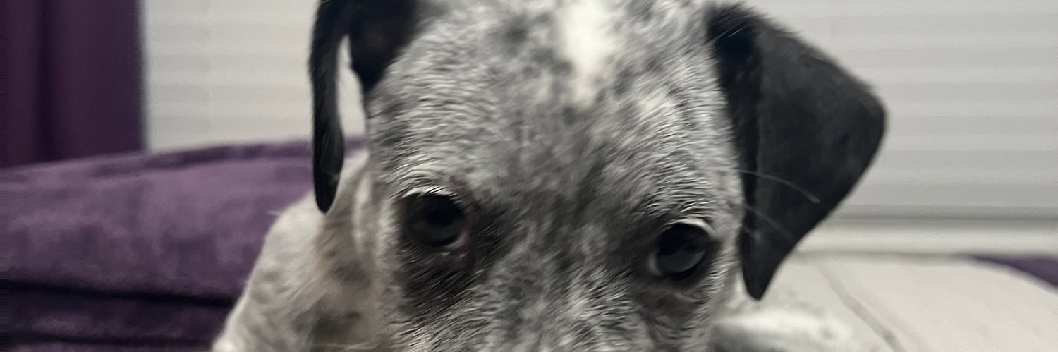 brownsabbath's profile banner image