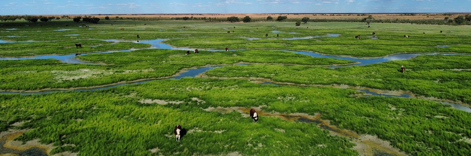 OBE Organic Australian Beef banner