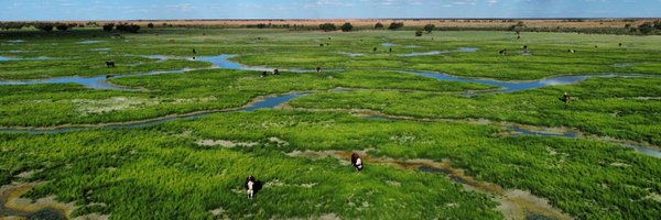 OBEOrganic Profile Banner