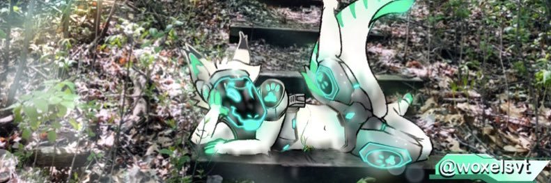 💜woxie💚 meow banner