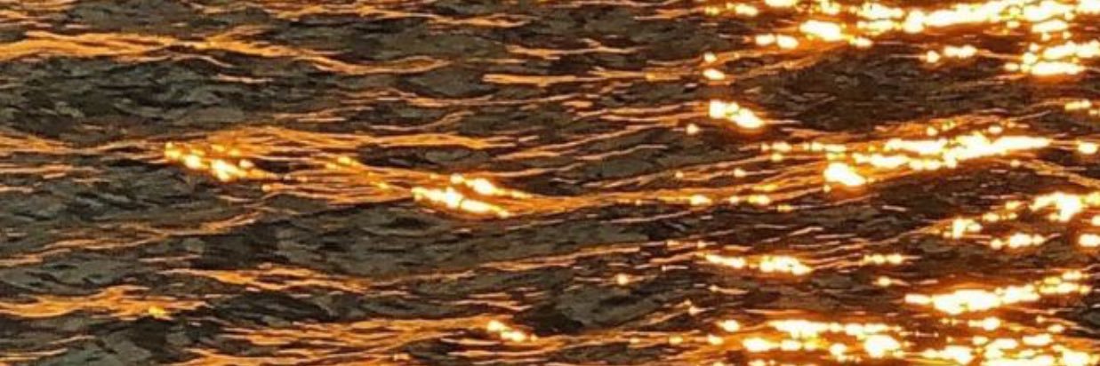 wmx0__'s profile banner image
