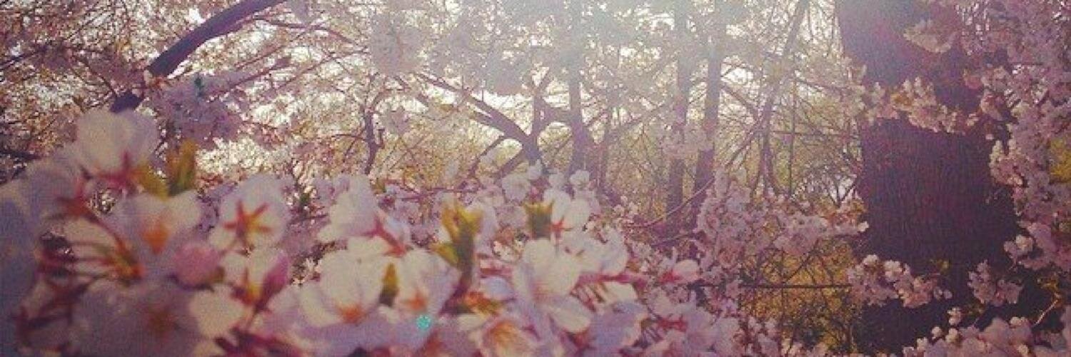 _JRubin's profile banner image