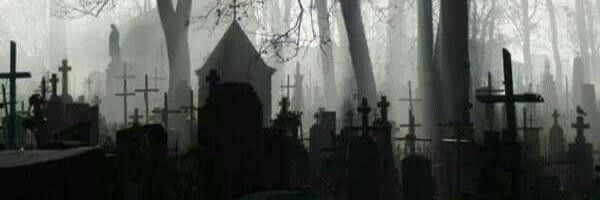 swhintheshadows Profile Banner