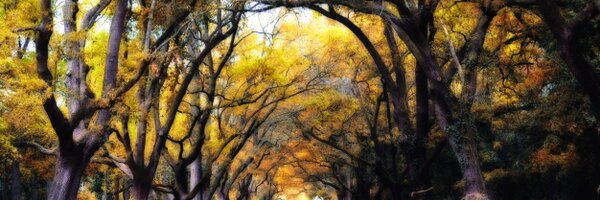 VanFaren Profile Banner