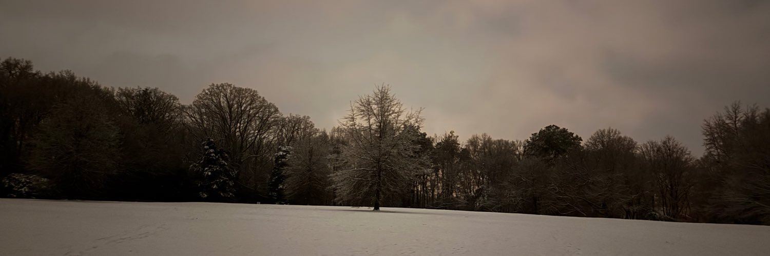 brewsterbrown's profile banner image