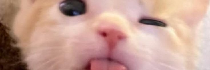 savoystrawberry banner