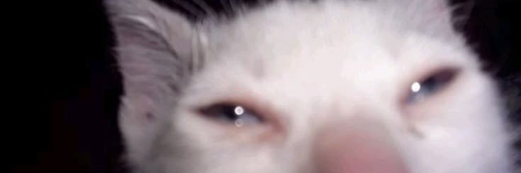 whittcit's profile banner image