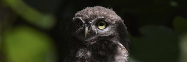 davidrouse64 Profile Banner