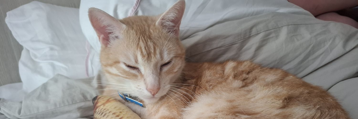 Fordik🇨🇿🇺🇦 :3 Comms open banner