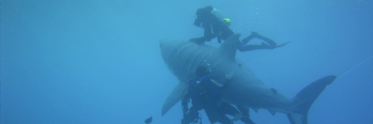 Fabien Cousteau banner