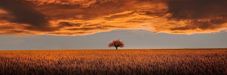 Raverrevolution's profile banner image